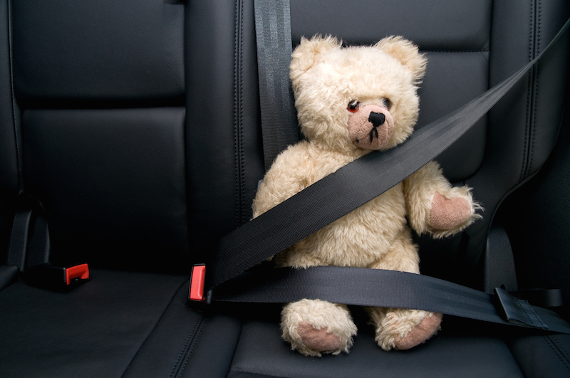 https://avatarms.com/wp-content/uploads/Seat-Belt-Teddy-Bear-copy.jpg