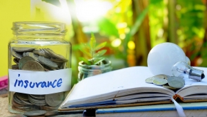 Insurance Comanies Money